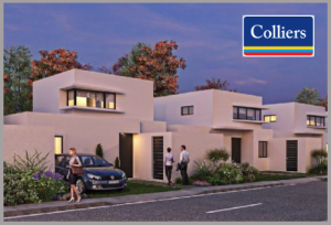 Colliers Info 04.24 a